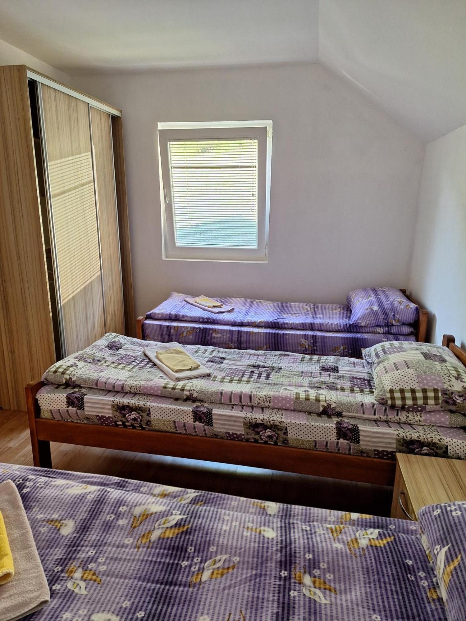 Apartman Ognjenovic Apartment Pluzine Exterior photo